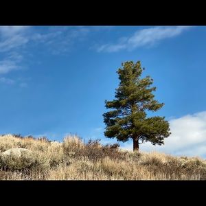 Meet your Posher, Enrique